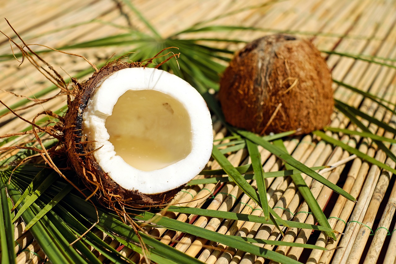 About Coconut Forest